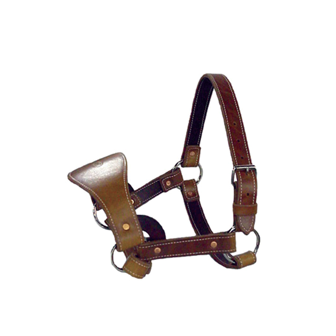 Leather Bronc Halter